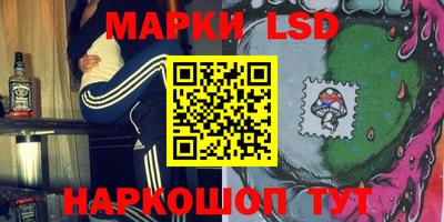 шишки Краснознаменск